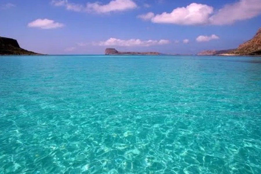 Τοξικά και δηλητηριώδη είδη στις ελληνικές θάλασσες